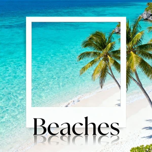 Beaches
